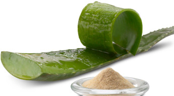 gel d'aloe vera