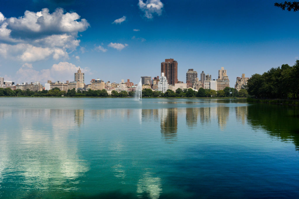 Central Park e un vestito a fiori