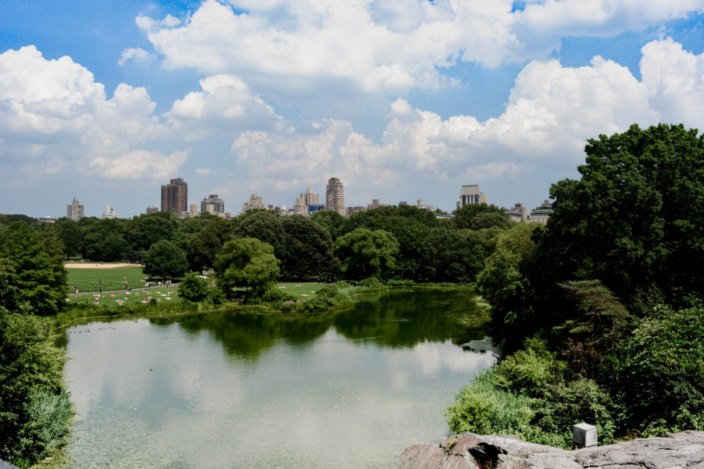 Central Park e un vestito a fiori