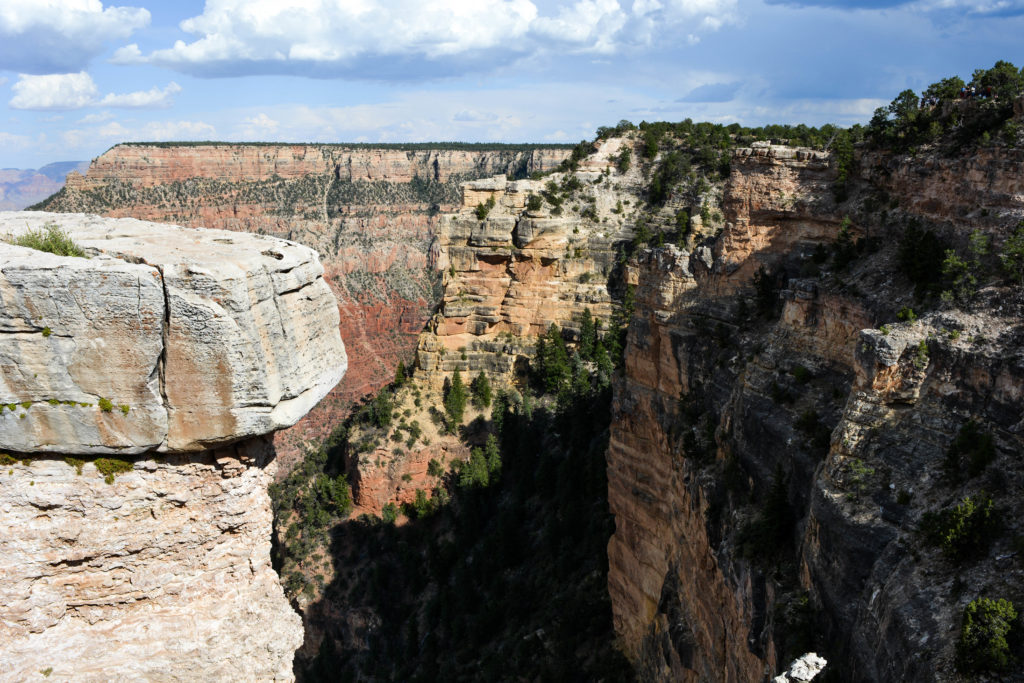 Grand Canyon- cosa vedere in un giorno