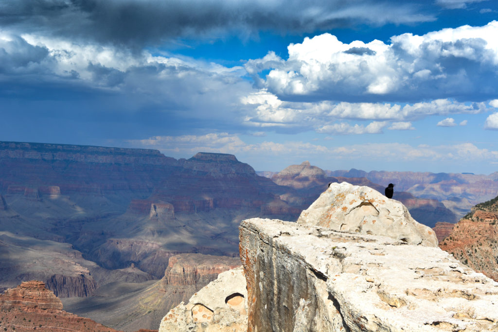 Grand Canyon- cosa vedere in un giorno