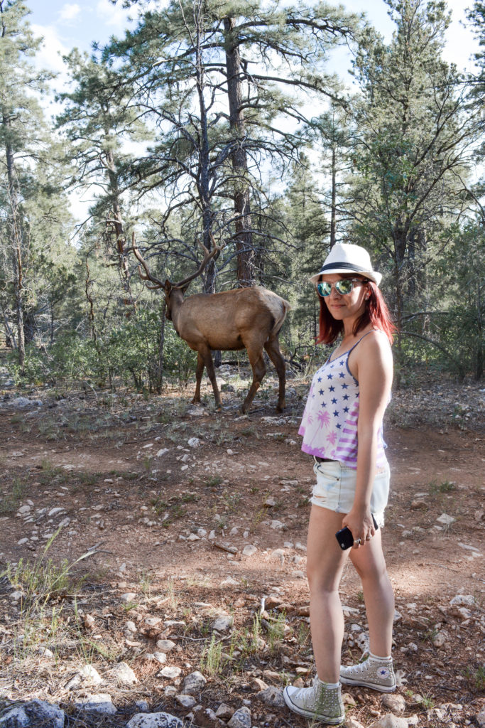 Grand Canyon- cosa vedere in un giorno